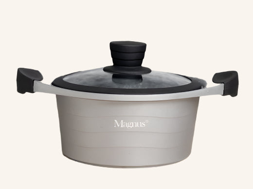 סיר נון סטיק SILVER 20 ס"מ